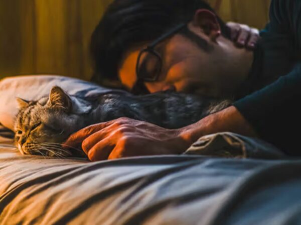 A Man Sleeping in Bed with a Cat